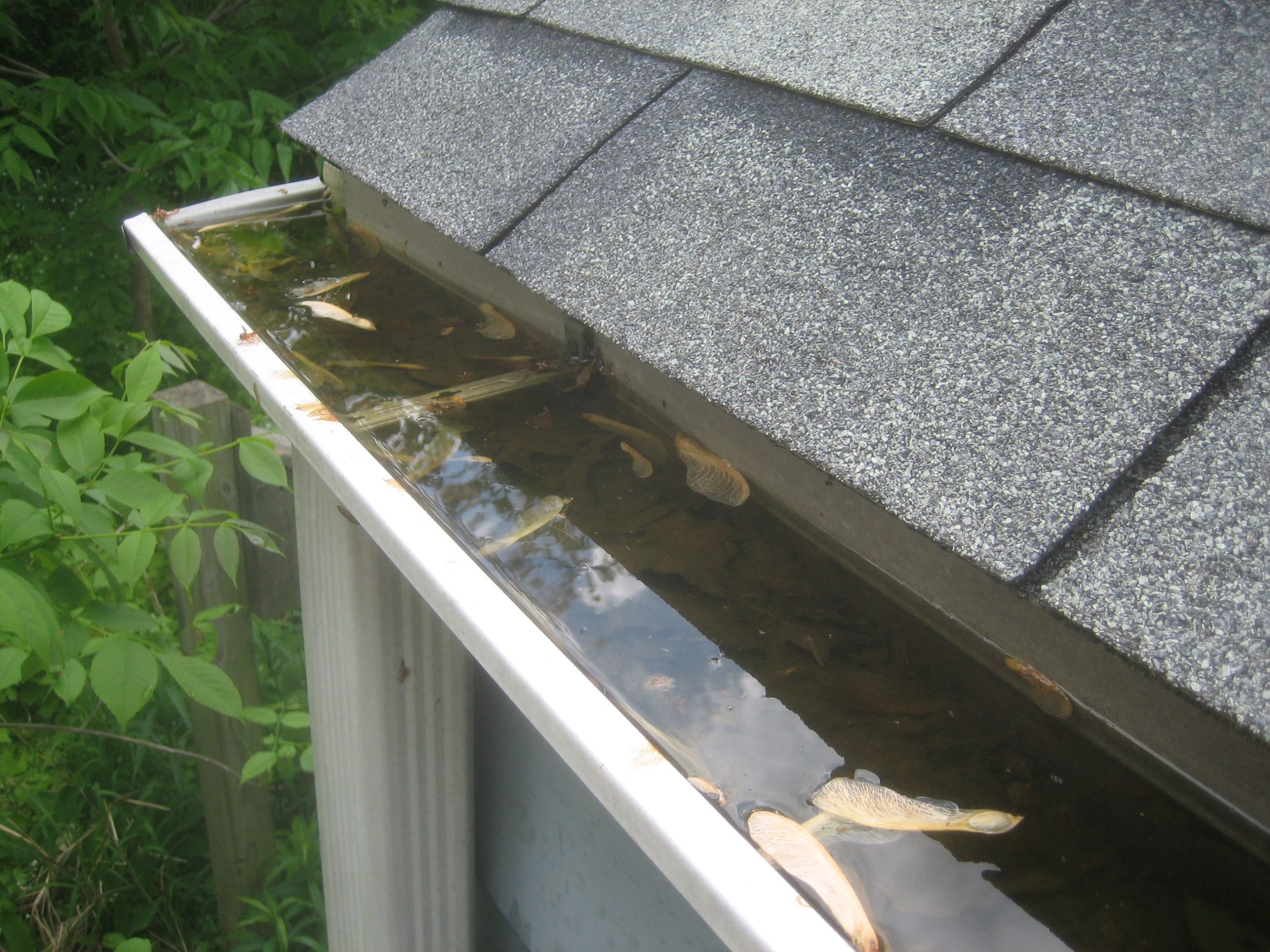 Rain Gutter Cleaning & Maintenance